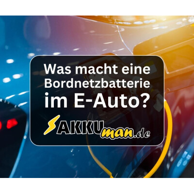 Die Herzschlagader des Elektroautos:...