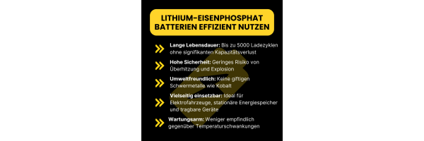 Lithium-Eisenphosphat effizienz...