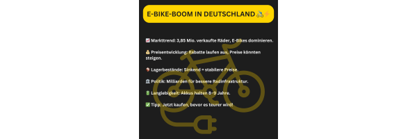 Erneut mehr Stromer verkauft: Warum...