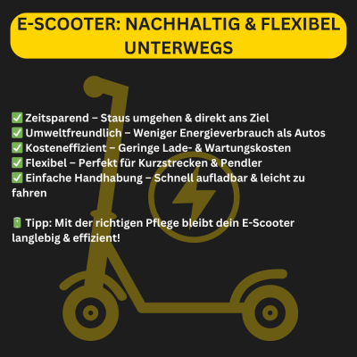 Ist ein E-Scooter sinnvoll oder nur...