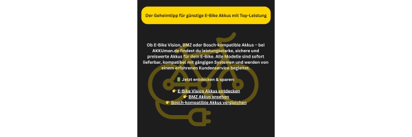 Geheimtipp 2025: Günstige E-Bike...
