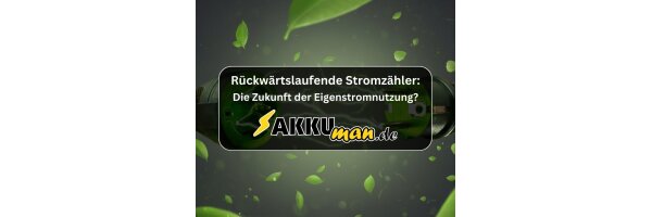 Rückwärtslaufende Stromzähler: Die...