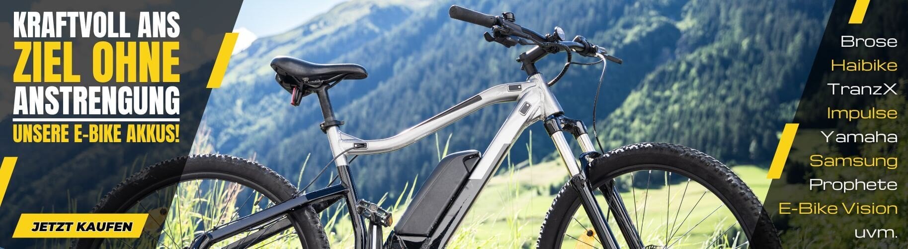 E Bike Akku kaufen!