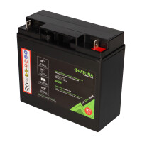 PATONA Premium AGM Akku 12V 22Ah – passend für So