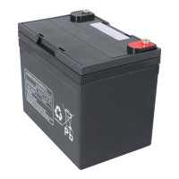 Multipower MPL34-12 AGM Longlife-Bleiakku 12V 34Ah – M