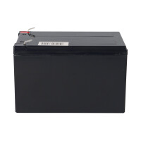 Q-Batteries 12LH-55W 12 V 12 Ah / 55 W AGM Hochstrom-USV-Akk