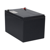 Q-Batteries 12LH-55W 12 V 12 Ah / 55 W AGM Hochstrom-USV-Akk