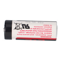 EVE ER18505/S Lithium Batterie 3,6V – 18505 Li-SOCl₂ I