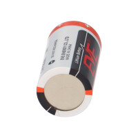 10x EVE CR123A Lithium Batterie 3V 1500 mAh – CR17345 