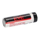 10x EVE ER14505 AA Lithium-Thionylchlorid 3,6V 2400mAh Batterie