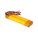 Notleuchten Akku L2x2 Doppelpack 4,8V 800mAh AA Kabel 20cm