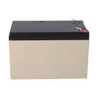 EnerSys Genesis NP12-12WT AGM-Bleiakku 12V 12Ah – Fast
