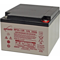 Genesis NP24-12 12V 24Ah M5 Innengewinde AGM 