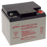 Genesis NP38-12RFR 12V 38Ah M6 Innengewinde A