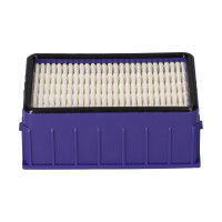 HEPA-Filter passend für Dyson DC11, DC11 Allergy 2