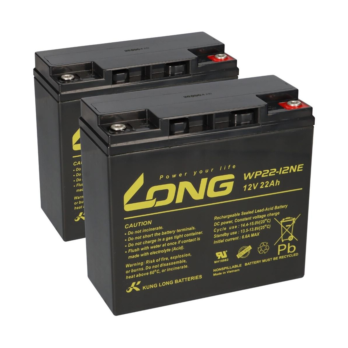 2x Kung Long WP22-12NE AGM-Akkus 12V 22Ah (24V) – für Robomow RL550 / RL555 / RL800 / RL850 / RL855 / RM200