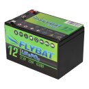 FYBAT LiFePO4 Akku 12V (12,8V) 12Ah inkl. Bluetooth und CanBus