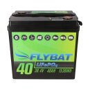 FLYBAT LiFePO4 Akku 36V (38,4V)  40Ah inkl. Bluetooth und CanBus