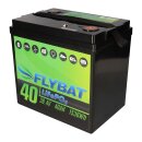 FLYBAT LiFePO4 Akku 36V (38,4V)  40Ah inkl. Bluetooth und CanBus