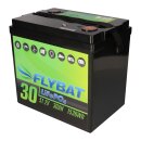 FLYBAT LiFePO4 Akku 48V (51,2V) 30Ah inkl. Bluetooth und CanBus