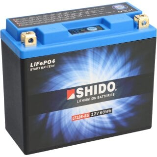 LANGZEIT Autobatterie 80Ah 12V 770A/EN Starterbatterie +30% mehr Leistung  ersetzt Batterie 74Ah 72Ah 75Ah 77Ah 85Ah : : Auto & Motorrad