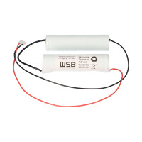 Notleuchten-Akku 4,8V 2500mAh Ni productbox 36_2nd