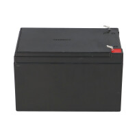 Kung Long WP12-12 F1 12V 12Ah AGM Akku VdS – passend f