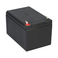 Kung Long WP12-12 F1 12V 12Ah AGM Akku VdS – passend f