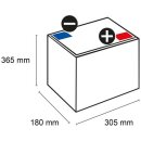 Q-Batteries 6DC-360 Deep Cycle 6V 360Ah Traktionsbatterie