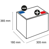 Q-Batteries 6DC-360 6 V 360 Ah (C20) Deep-Cycle-Traktionsbat