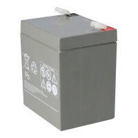 FIAMM 12FGHL22 High-Rate Longlife AGM Bleiakku 12V 5Ah T2 / 