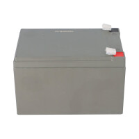 FIAMM 12FGHL48 High-Rate Longlife AGM Bleiakku 12V 12Ah T2 /