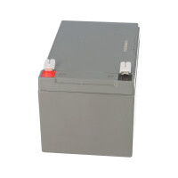FIAMM 12FGHL48 High-Rate Longlife AGM Bleiakku 12V 12Ah T2 /