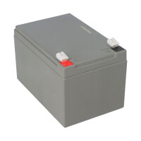 FIAMM 12FGHL48 High-Rate Longlife AGM Bleiakku 12V 12Ah T2 /