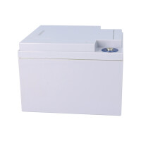 FIAMM 12FGL27 Longlife AGM Bleiakku 12V 27Ah M5-Innengewinde
