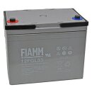 Fiamm Blei-Akku 12FGL33 12V 33Ah Pb M6 Innengewinde