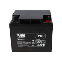 FIAMM FG24204 Standard AGM Bleiakku 12V 42Ah M6-Schraubansch
