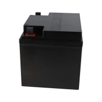 FIAMM FG24204 Standard AGM Bleiakku 12V 42Ah M6-Schraubansch