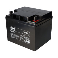 FIAMM FG24204 Standard AGM Bleiakku 12V 42Ah M6-Schraubansch