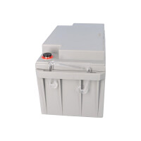FIAMM 12FGL70/L Longlife AGM Bleiakku 12V 70Ah M6-Innengewin