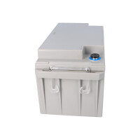 FIAMM 12FGL70/L Longlife AGM Bleiakku 12V 70Ah M6-Innengewin