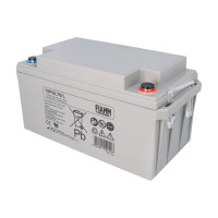 FIAMM 12FGL70/L Longlife AGM Bleiakku 12V 70Ah M6-Innengewin
