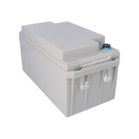 FIAMM 12FGL70/L Longlife AGM Bleiakku 12V 70Ah M6-Innengewin