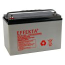 Effekta BTL 12-100L Blei-Vlies Akku AGM VRLA 12V 100Ah