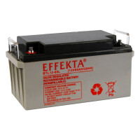 Effekta BTL 12-65L  Blei-Vlies Akku AGM VRLA 