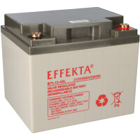 Effekta BTL 12-45L Blei-Vlies Akku AGM VRLA 12V 45Ah 1