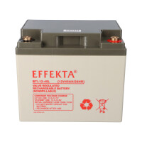 Effekta BTL 12-45L AGM Akku 12V 45Ah – passend fü