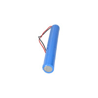 Notleuchtenakku 6V 4500mAh NiCd L1x5 HT | 20cm Kabel 3