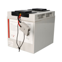 RBC11 Plug-&-Play-Ersatzakku für APC Smart UPS 2200