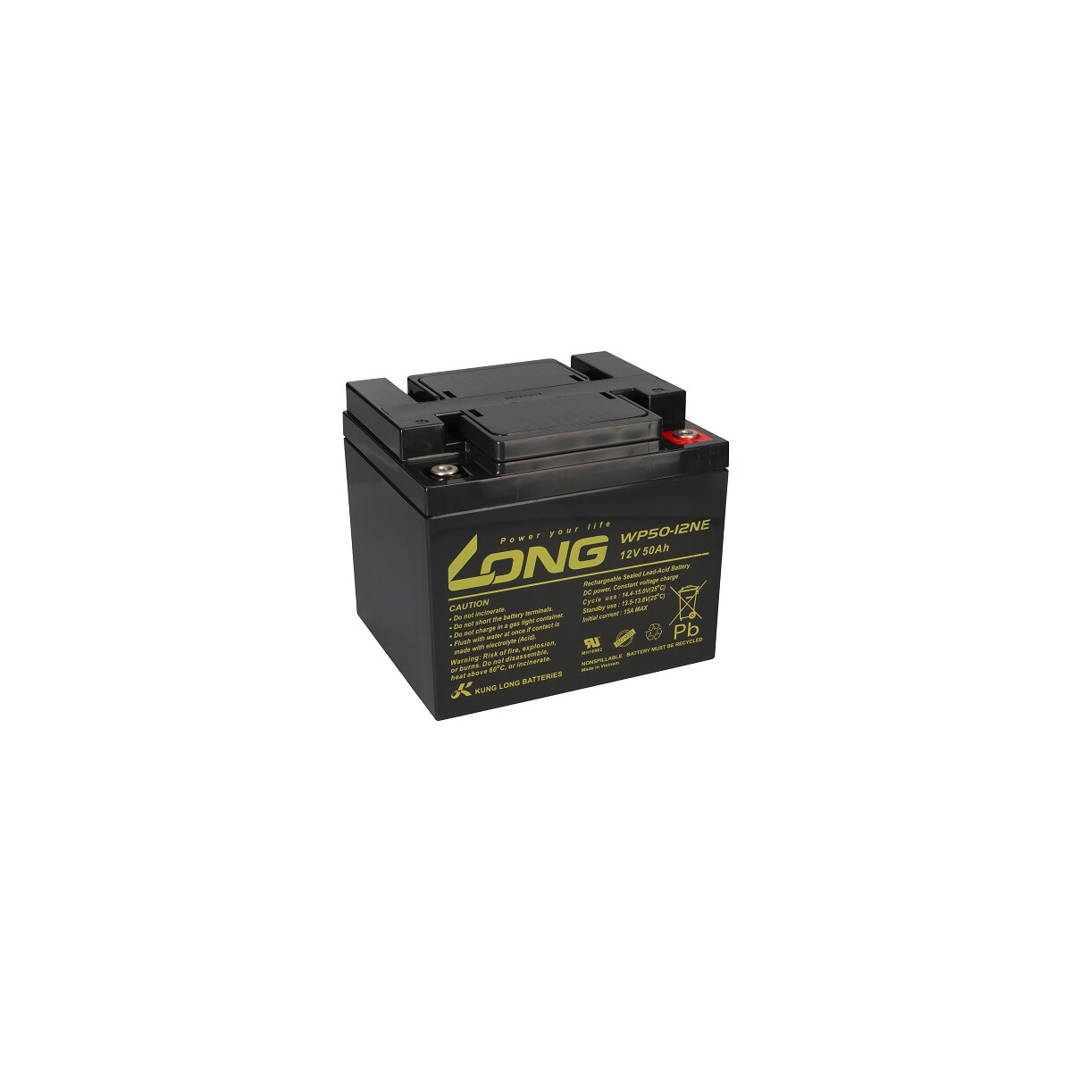 Kung Long WP50-12NE 12V 50Ah AGM Akku für Swiss-Trac SWT-1